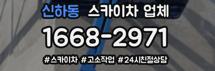 신하동 스카이차 업체