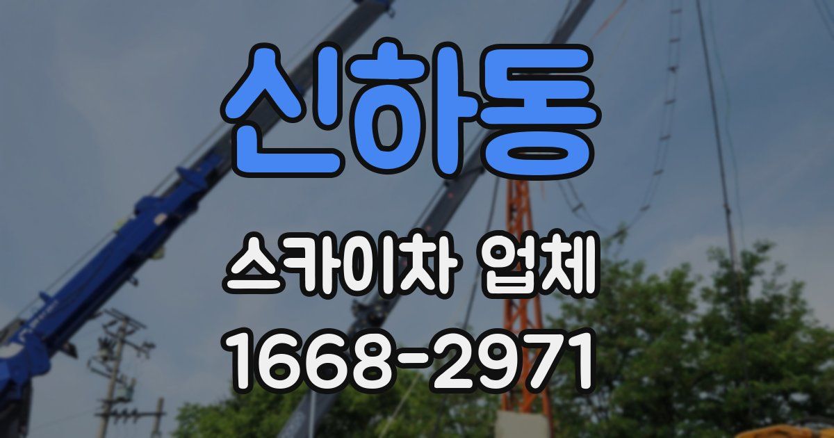 신하동 스카이차 업체