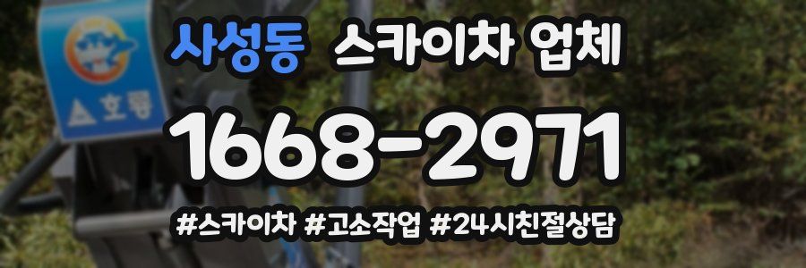 사성동 스카이차 업체