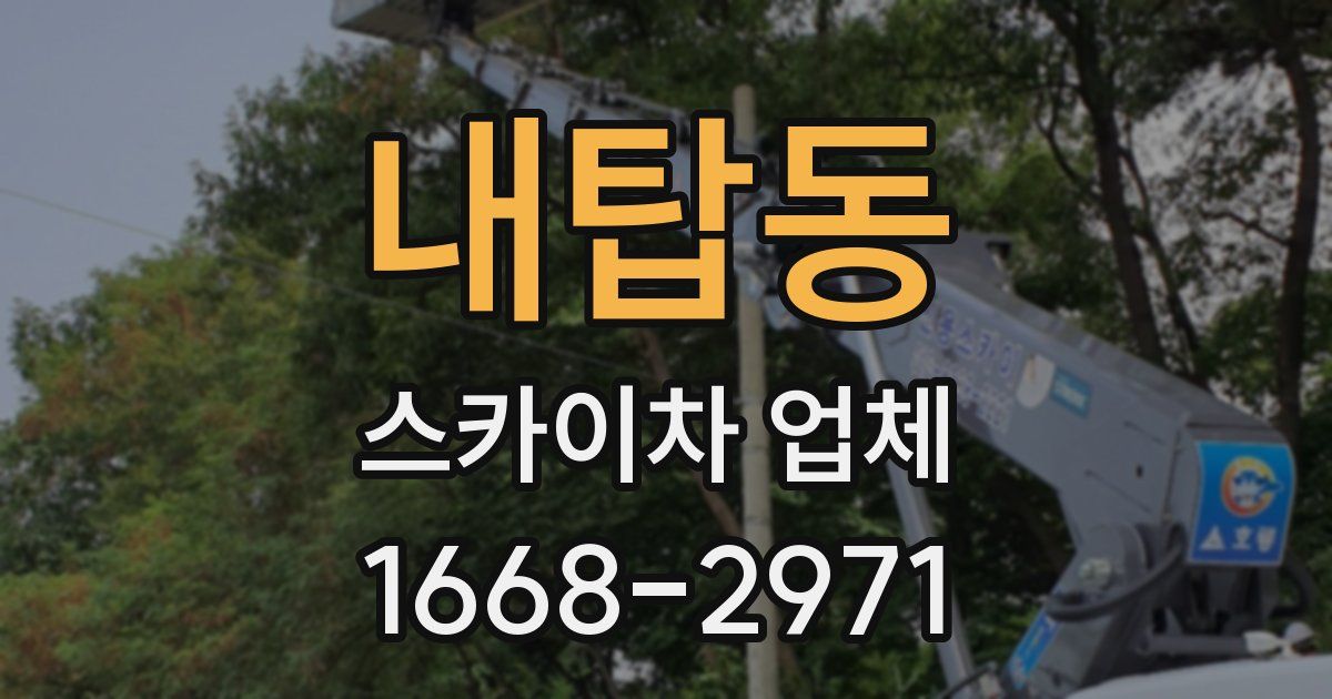 내탑동 스카이차 업체