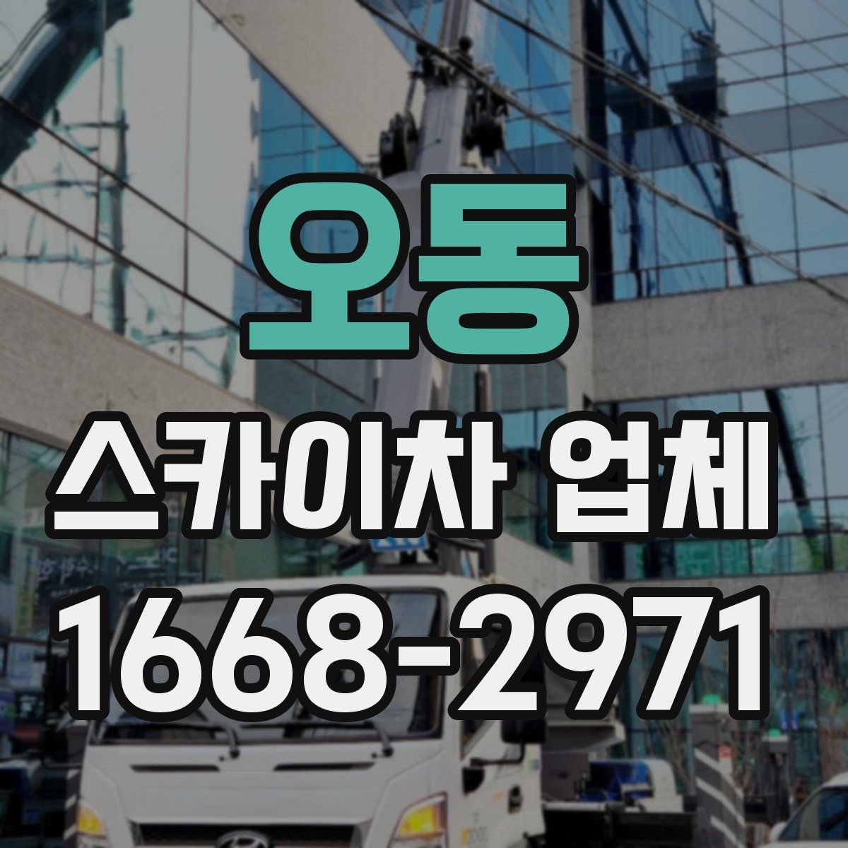 오동 스카이차 업체