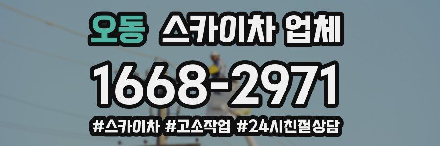 오동 스카이차 업체