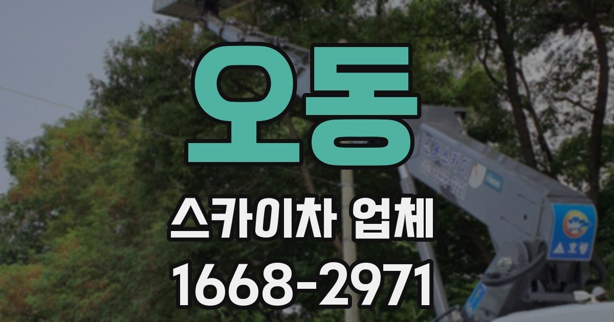 오동 스카이차 업체