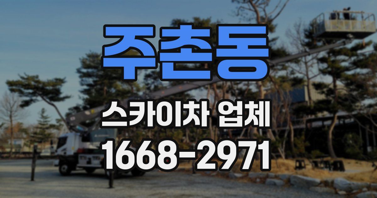 주촌동 스카이차 업체