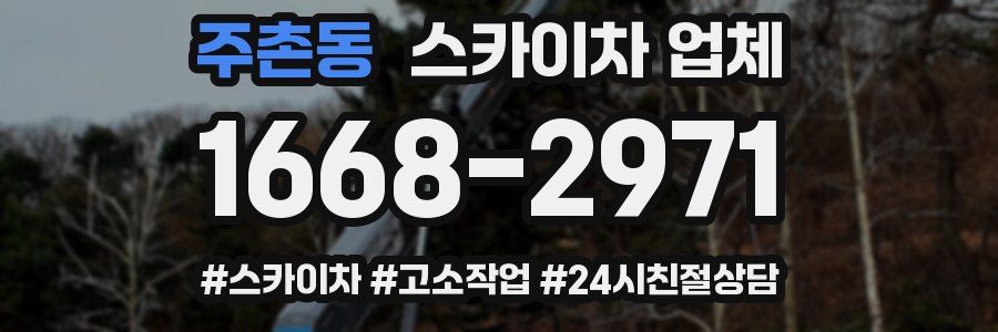 주촌동 스카이차 업체