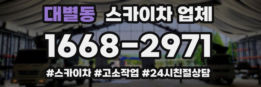 대별동 스카이차 업체