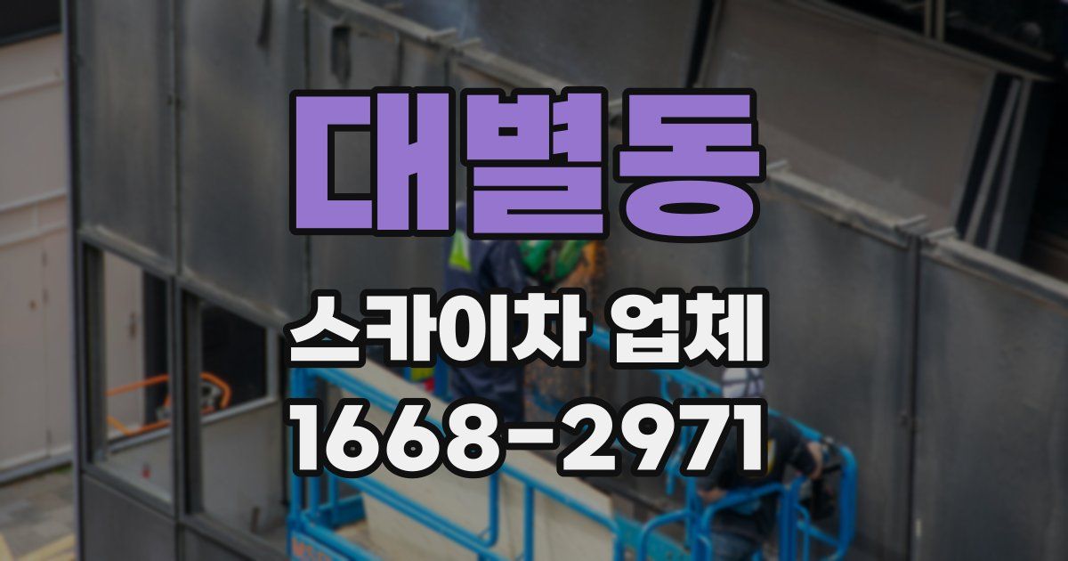 대별동 스카이차 업체