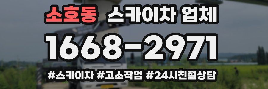 소호동 스카이차 업체