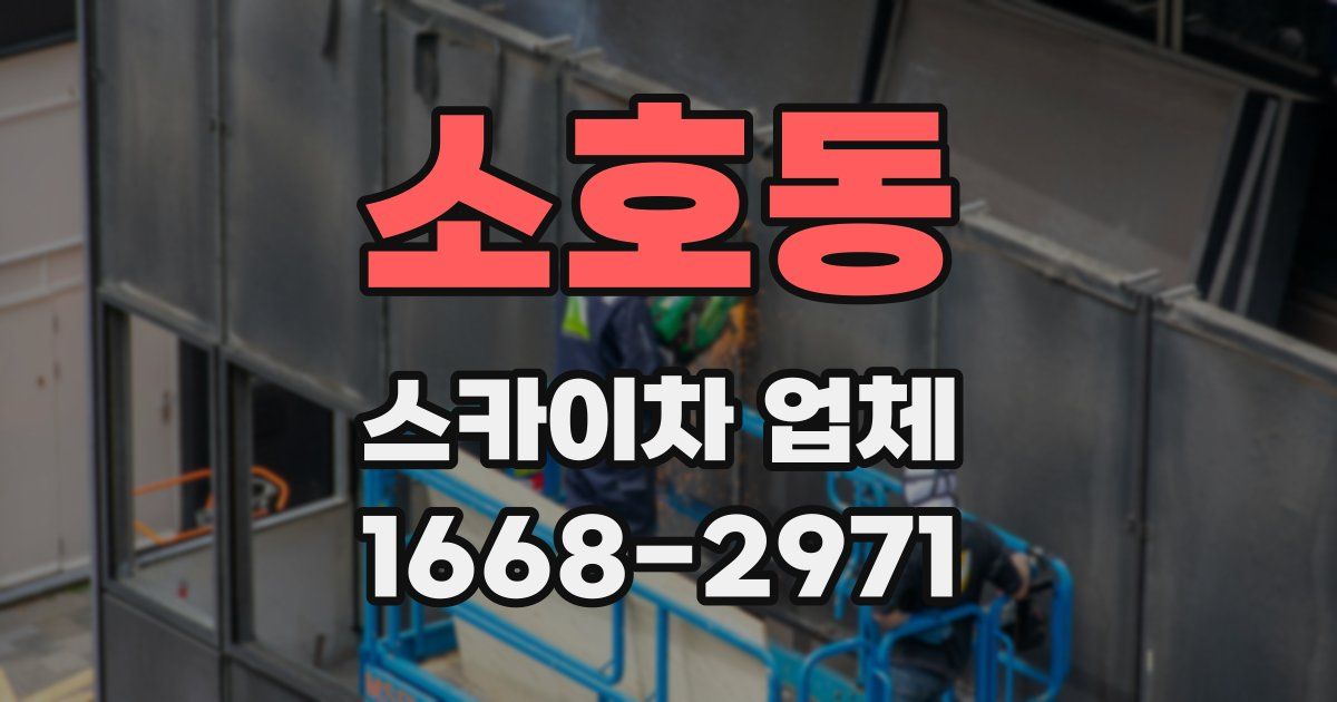 소호동 스카이차 업체