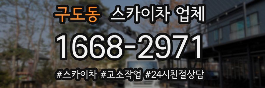 구도동 스카이차 업체