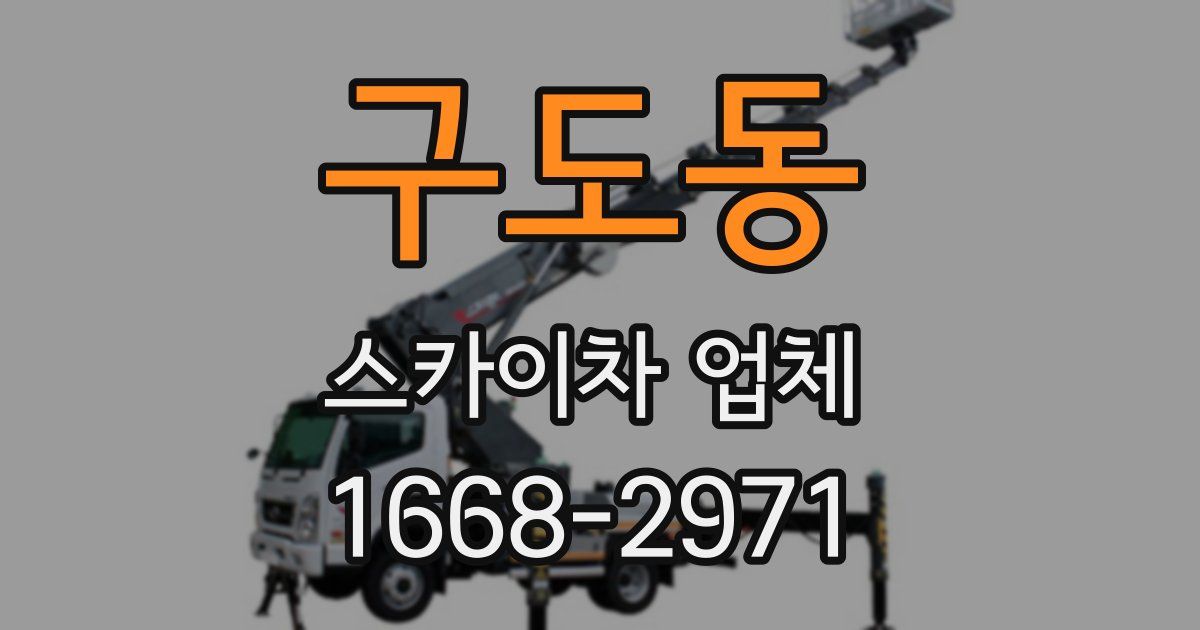 구도동 스카이차 업체