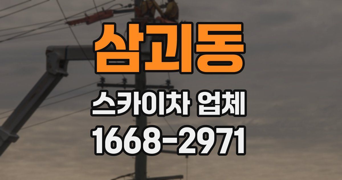 삼괴동 스카이차 업체