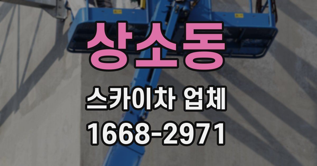 상소동 스카이차 업체