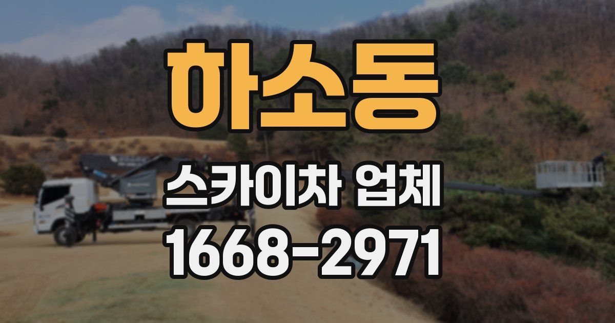 하소동 스카이차 업체