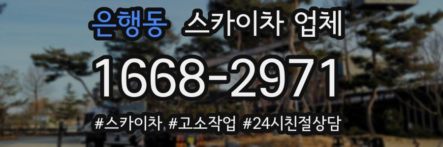 은행동 스카이차 업체