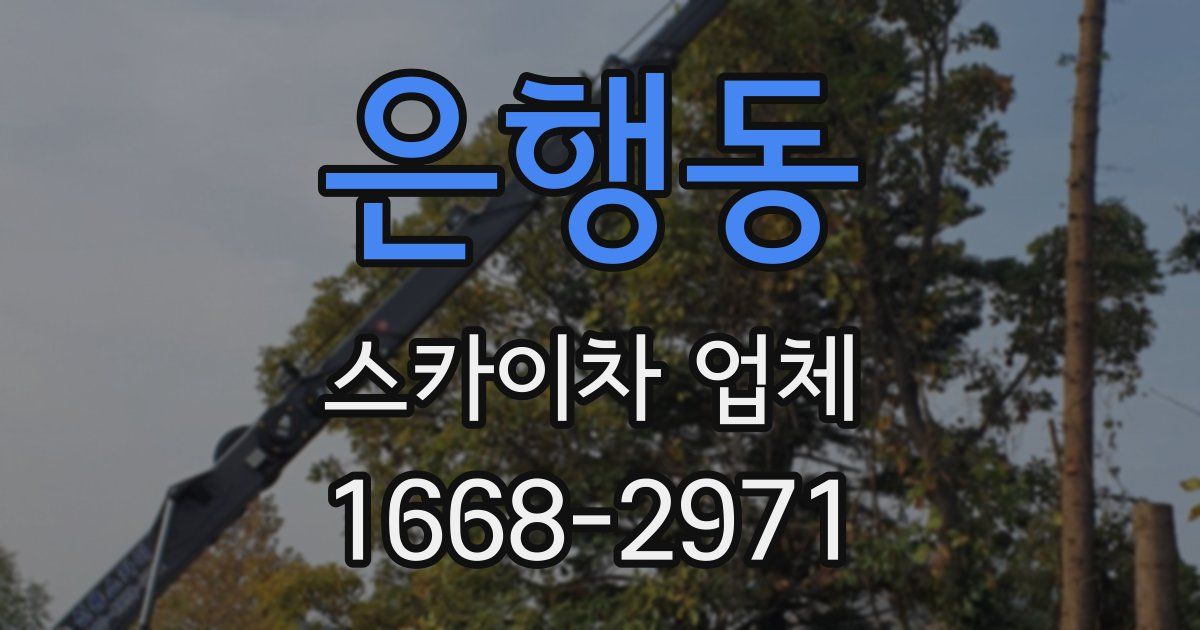 은행동 스카이차 업체