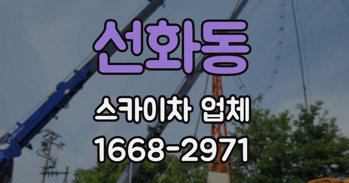 선화동 스카이차 업체