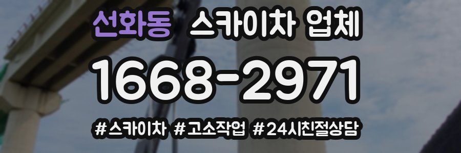 선화동 스카이차 업체