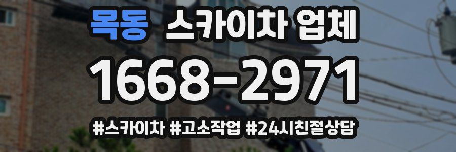 목동 스카이차 업체