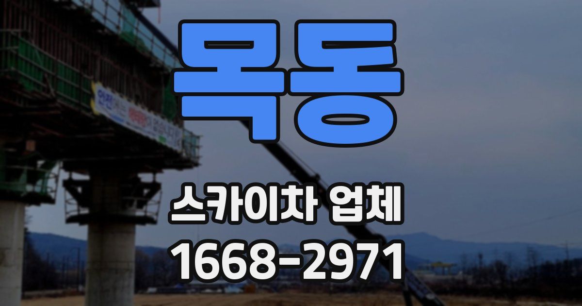 목동 스카이차 업체