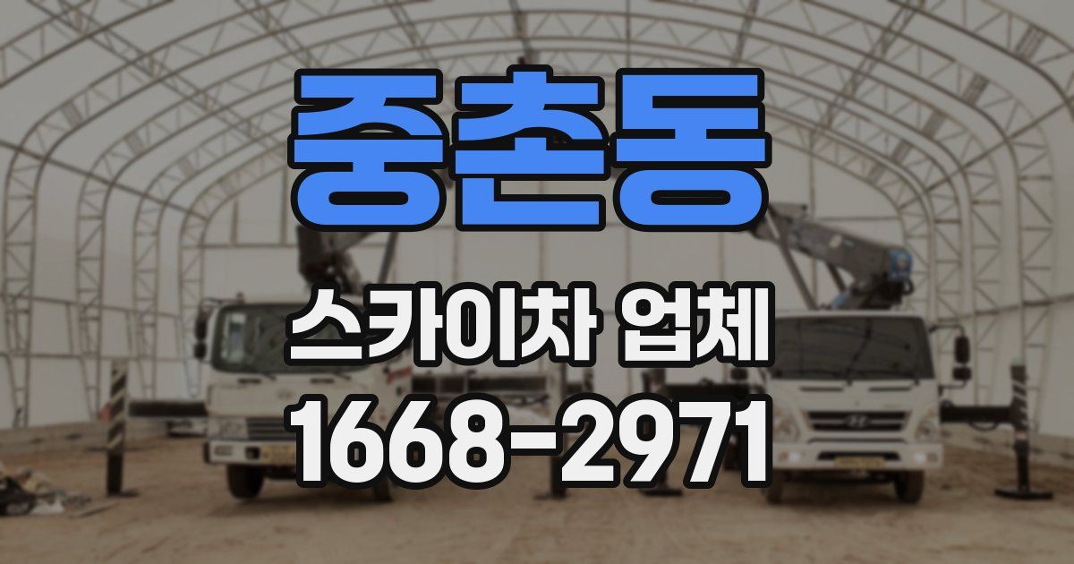 중촌동 스카이차 업체