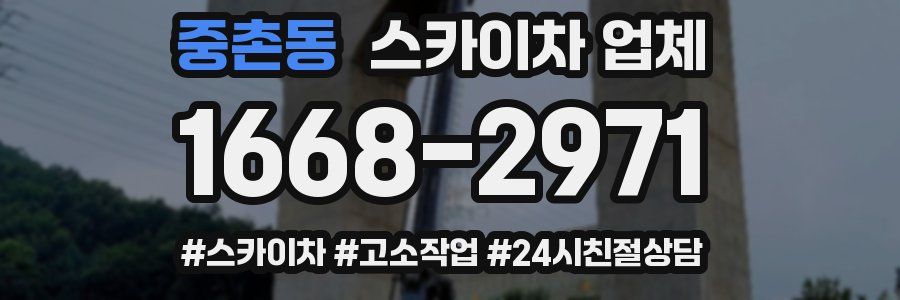 중촌동 스카이차 업체