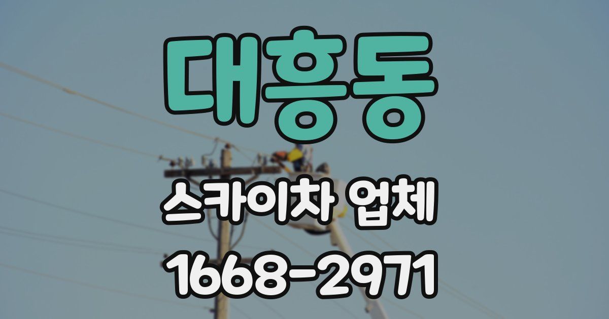대흥동 스카이차 업체