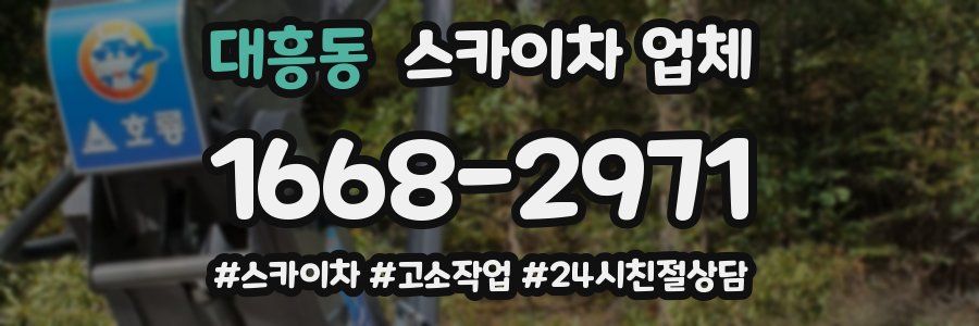 대흥동 스카이차 업체