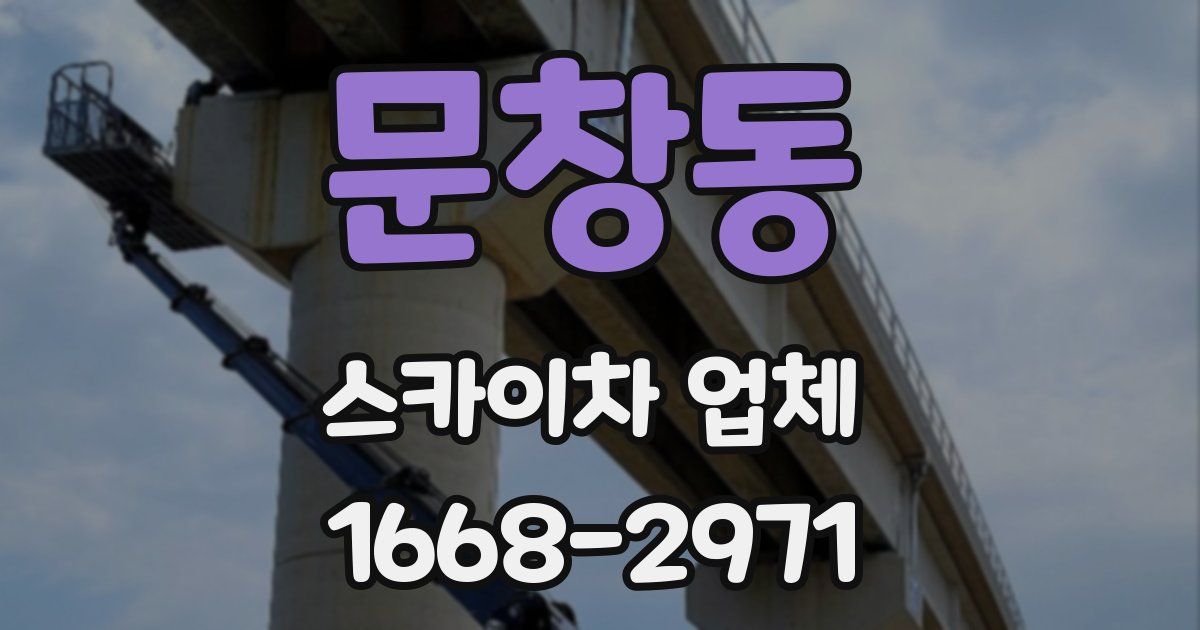 문창동 스카이차 업체