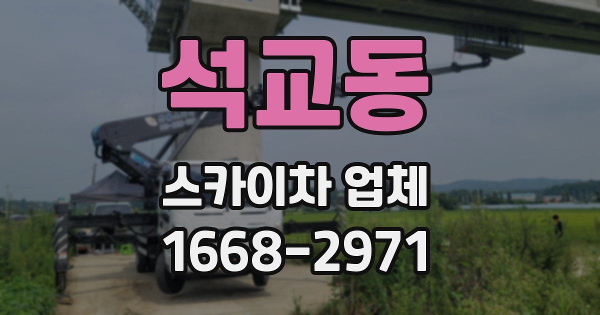 석교동 스카이차 업체