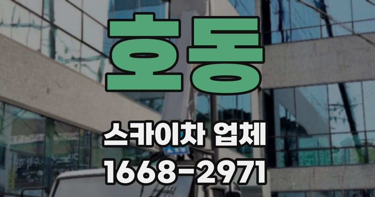 호동 스카이차 업체