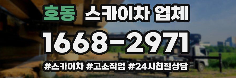 호동 스카이차 업체