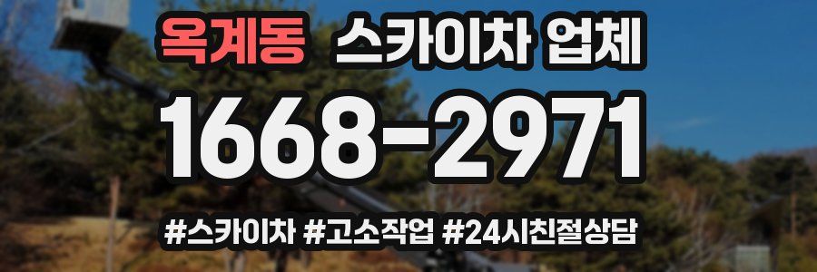 옥계동 스카이차 업체