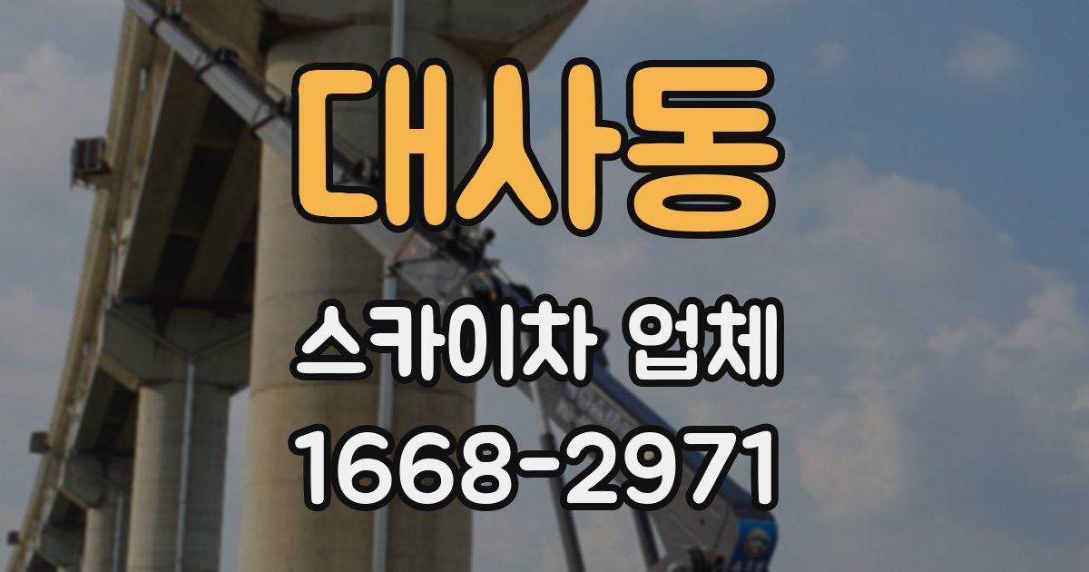 대사동 스카이차 업체