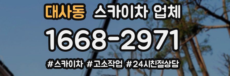 대사동 스카이차 업체
