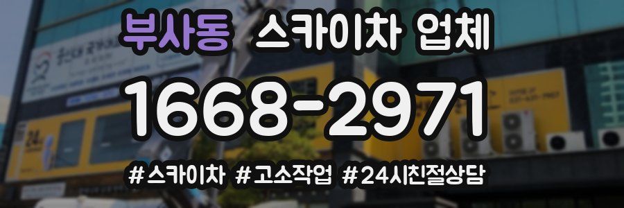 부사동 스카이차 업체