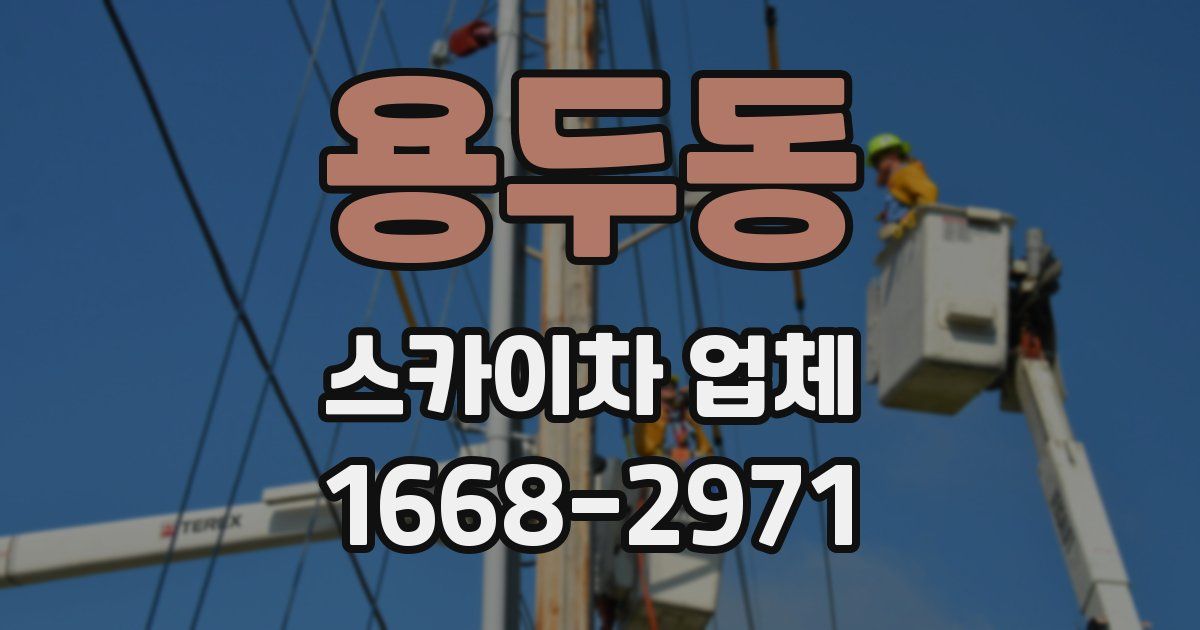 용두동 스카이차 업체