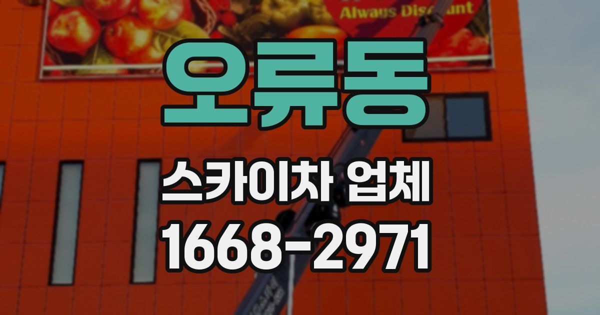 오류동 스카이차 업체