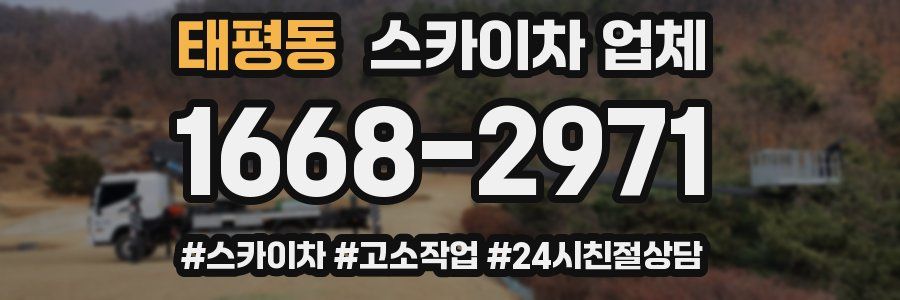 태평동 스카이차 업체