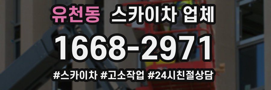 유천동 스카이차 업체