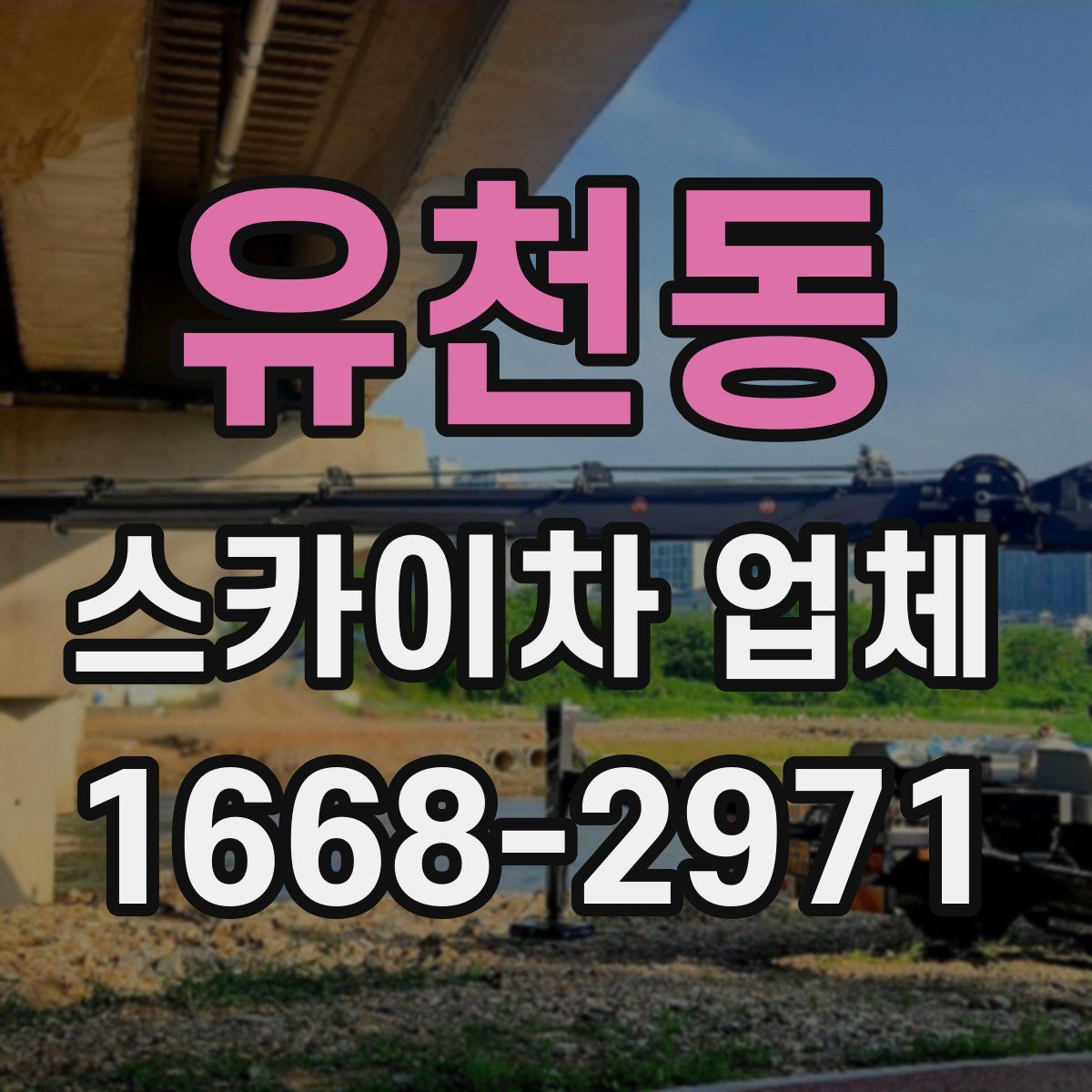유천동 스카이차 업체