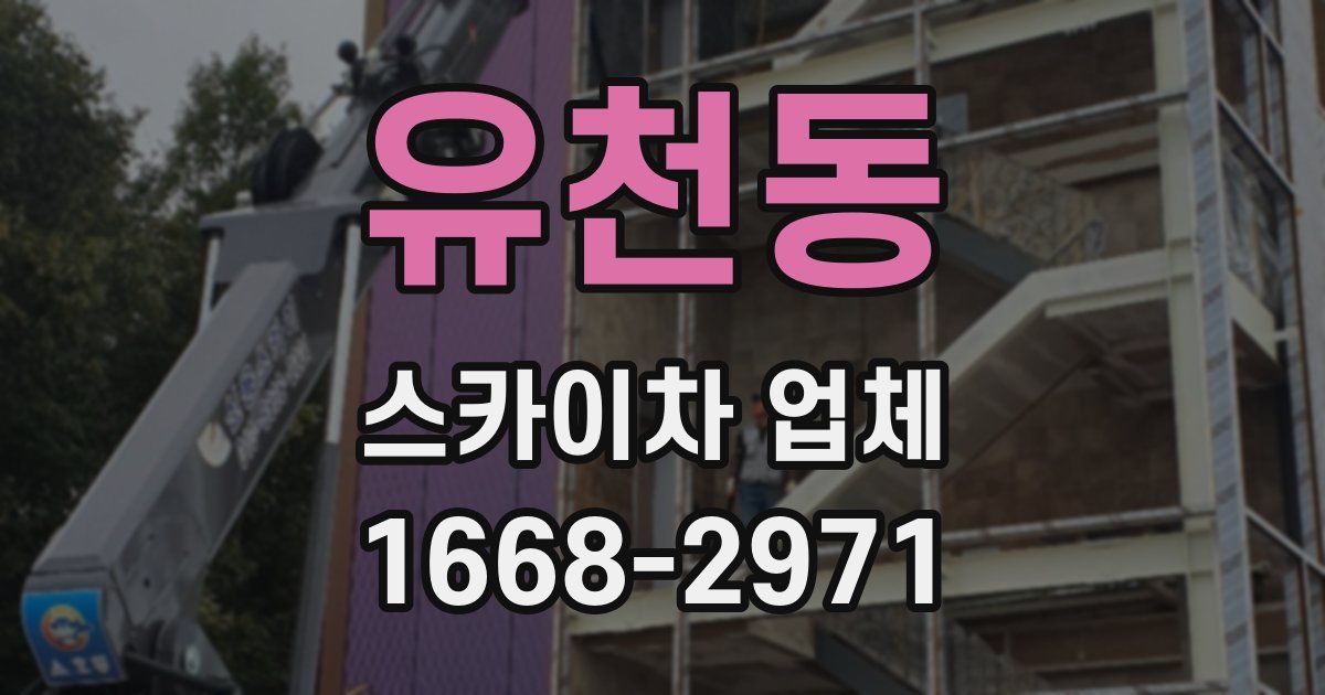 유천동 스카이차 업체