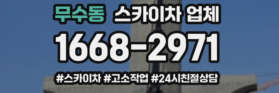 무수동 스카이차 업체