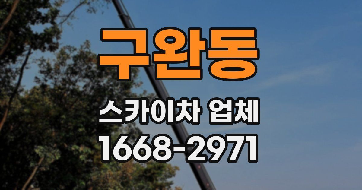 구완동 스카이차 업체