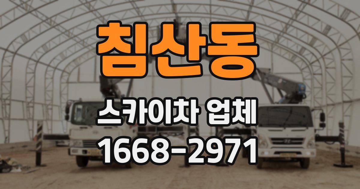 침산동 스카이차 업체