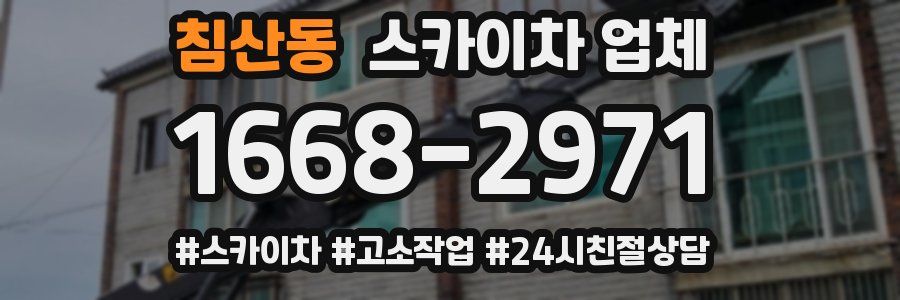 침산동 스카이차 업체