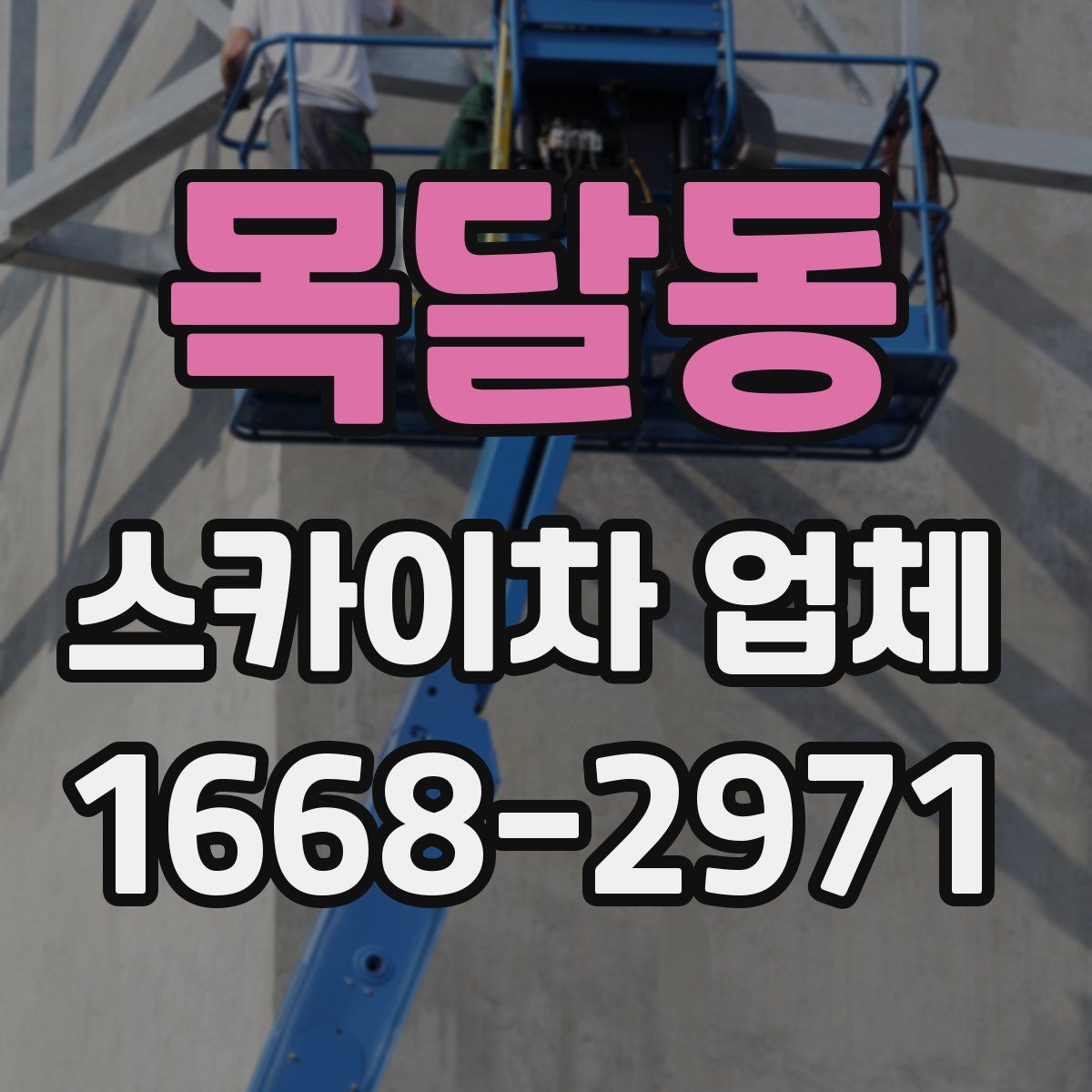 목달동 스카이차 업체