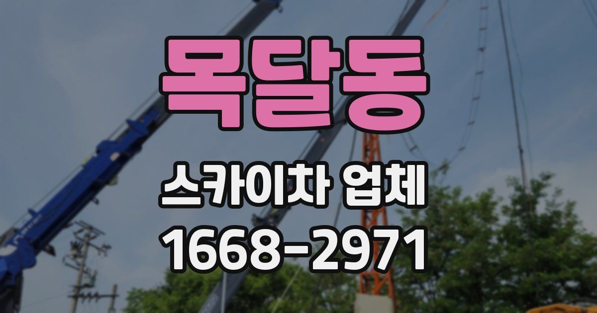목달동 스카이차 업체