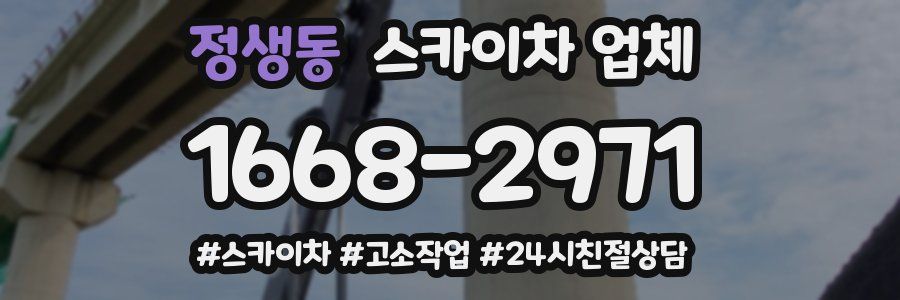 정생동 스카이차 업체