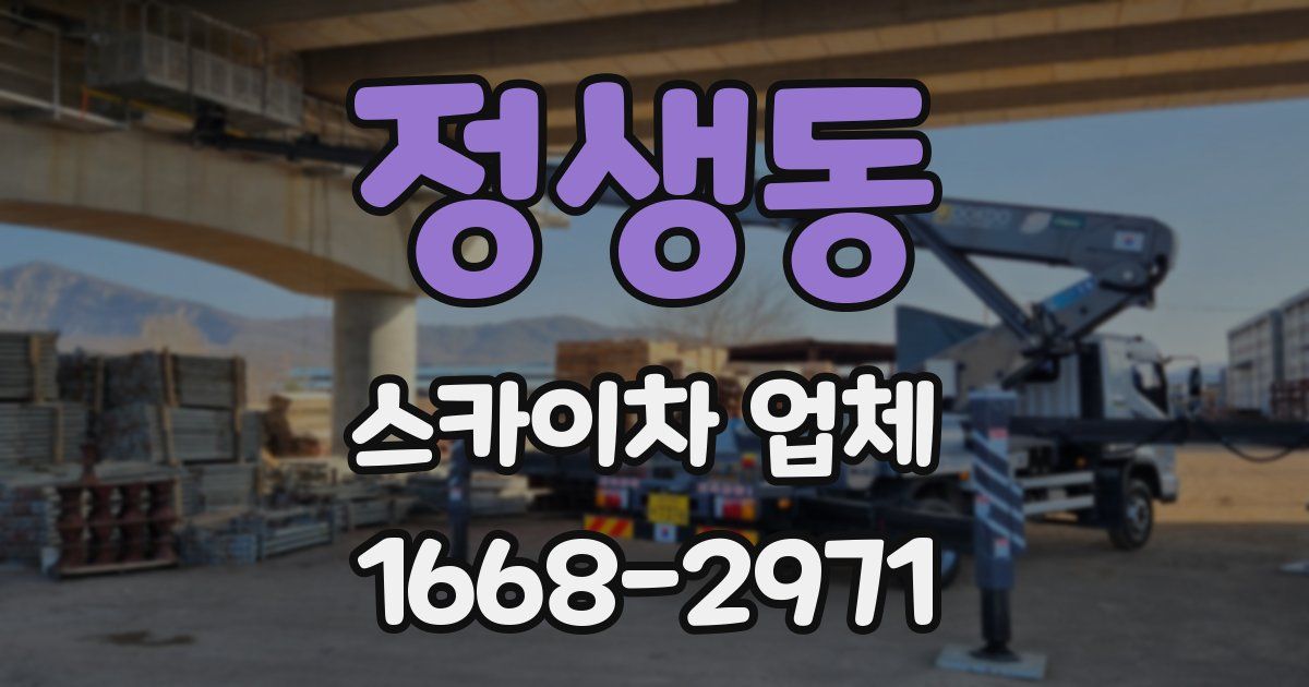 정생동 스카이차 업체